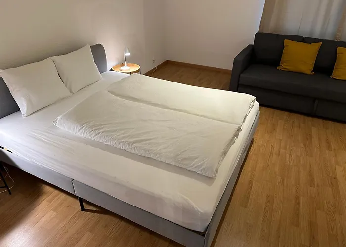 Pet Friendly hotel: Galaxy Apartments Lucerne